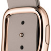 Умные часы Apple Watch Edition 38 mm