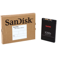 SSD SanDisk X300S 256GB