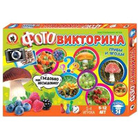 Детская настольная игра Русский стиль Фотовикторина Грибы и ягоды 03435