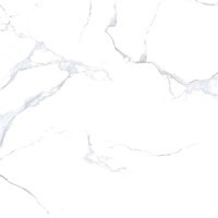 Керамогранит (плитка грес) Range Ceramic Gres Alpine Carrara polished 600x600