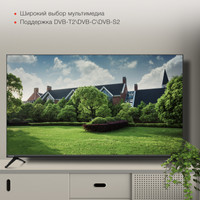 Телевизор StarWind SW-LED43SG300