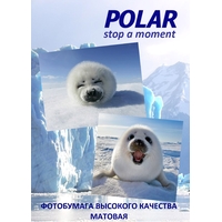 Фотобумага Polar матовая A4, 220 г/м2, 20 л [A4M787320]