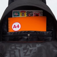 Городской рюкзак Grizzly RQL-317-3 (черный)