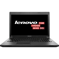 Ноутбук Lenovo B590 (59381383)