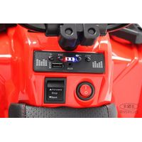 Электроквадроцикл RiverToys L222LL (красный)