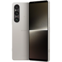 Смартфон Sony Xperia 1 V 12GB/256GB (платиновое серебро)
