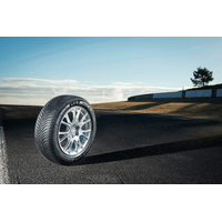 Зимние шины Michelin Alpin 5 225/45R17 91V (run-flat) в Гомеле