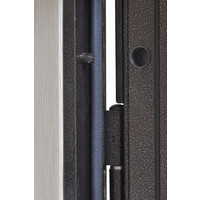 Металлическая дверь Steel Design Prestige 1