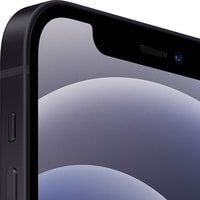 Смартфон Apple iPhone 12 Dual SIM 256GB (черный)