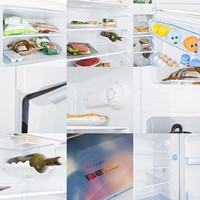 Холодильник BEKO DS 325000