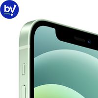 Смартфон Apple iPhone 12 256GB Восстановленный by Breezy, грейд C (зеленый)