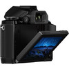 Беззеркальный фотоаппарат Olympus OM-D E-M10 Body