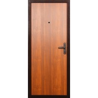Металлическая дверь Промет Спец Про 206x96 (правый)