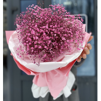 Цветы, букеты LaRose Букет из гипсофилы Розового цвета