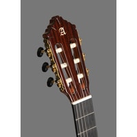 Акустическая гитара Alhambra Concert 10 P