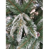 Сосна Christmas Tree Северная люкс с шишками 2.5 м