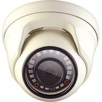 CCTV-камера Ginzzu HAD-2032S
