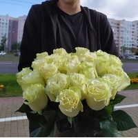 Цветы, букеты Storroz Роза Mondial 60 см (желтый)