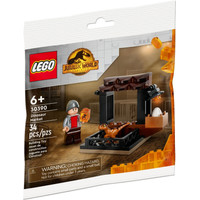 Конструктор LEGO Jurassic World 30390 Рынок динозавров
