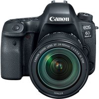 Зеркальный фотоаппарат Canon EOS 6D Mark II Kit 24-105mm IS STM