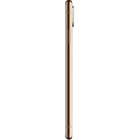 Смартфон Apple iPhone XS Max 512GB Dual SIM (золотистый)