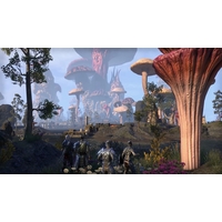  The Elder Scrolls Online: Morrowind для PlayStation 4