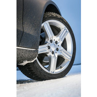 Зимние шины Nokian Tyres WR D4 205/55R16 91T