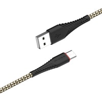 Кабель Borofone BX25 USB Type-C (черный/золотистый)