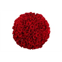 Цветы, букеты LaRose 101 красная роза