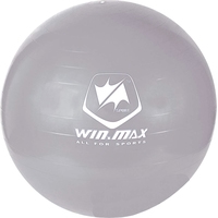 Гимнастический мяч WIN.MAX WMF09648 (серый)
