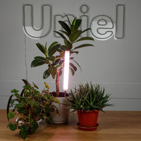 Лампа для растений Uniel ULT-P39-6W/SPLE IP40 WHITE UL-00007147