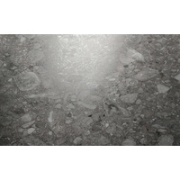 Керамогранит (плитка грес) Керамика Будущего Герда PGR серый 599x599