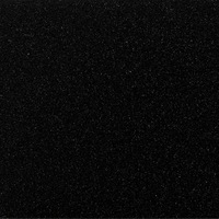 Кухонная мойка Aquasanita Notus SQ102AW (black metallic 601)