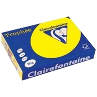 Офисная бумага Clairefontaine Trophee неон A4 80 г/кв.м 100 л (ассорти)