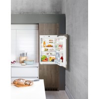 Однокамерный холодильник Liebherr IK 1620