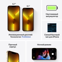 Смартфон Apple iPhone 13 Pro Max 1TB Восстановленный by Breezy, грейд A (золотистый)