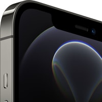 Смартфон Apple iPhone 12 Pro Max 256GB Восстановленный by Breezy, грейд C (графитовый)