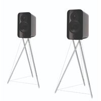 Полочная акустика Q Acoustics Concept 300 (черный/палисандр)