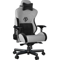 Кресло AndaSeat T-Pro 2 (серый/черный)