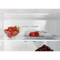 Холодильник Candy CCRN 6200B