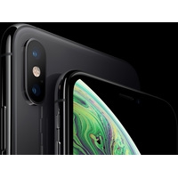 Смартфон Apple iPhone XS 64GB (серый космос)