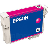 Картридж для принтера Epson EPT08034010 (C13T08034010)