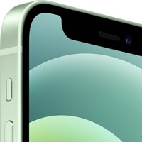 Смартфон Apple iPhone 12 mini 64GB Восстановленный by Breezy, грейд C (зеленый)