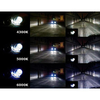 Ксеноновая лампа Blue Light H27/880 4300K 2шт