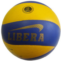 Волейбольный мяч Libera 4000