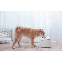 Фонтанчик Xiaowan Smart Pet Water Dispenser XWWF01MG (китайская версия)