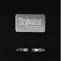 Многофункциональная сэндвичница Redmond Мультипекарь SkyBaker RMB-M659/3S