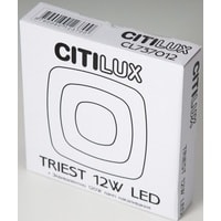 Светильник-тарелка Citilux Триест CL737B012