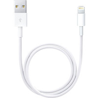 Кабель Apple USB 2.0 Type-A - Lightning (0.5 м, белый) в Могилеве