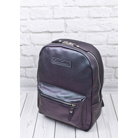 Городской рюкзак Carlo Gattini Premium Anzolla 3040-57 (северное сияние)